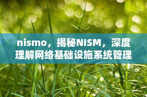 nismo，揭秘NISM，深度理解网络基础设施系统管理的内涵与外延