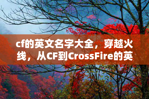 从CF到CrossFire的英文名之旅图片
