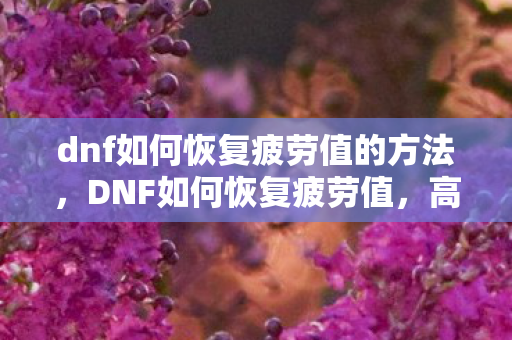 dnf如何恢复疲劳值的方法图片