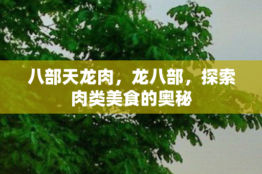 探索肉类美食的奥秘图片