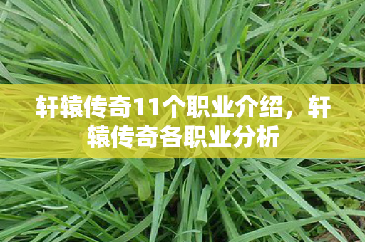 轩辕传奇11个职业介绍图片