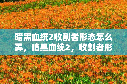 暗黑血统2收割者形态怎么弄图片