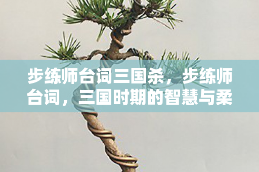 三国时期的智慧与柔情图片