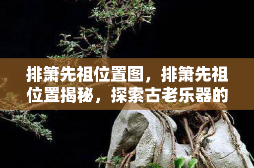 探索古老乐器的起源与传承图片