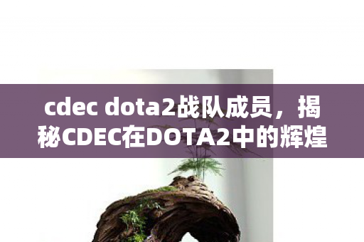 cdec dota2战队成员，揭秘CDEC在DOTA2中的辉煌之路