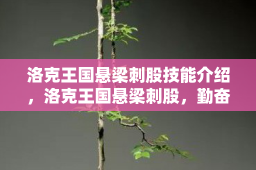 洛克王国悬梁刺股技能介绍图片