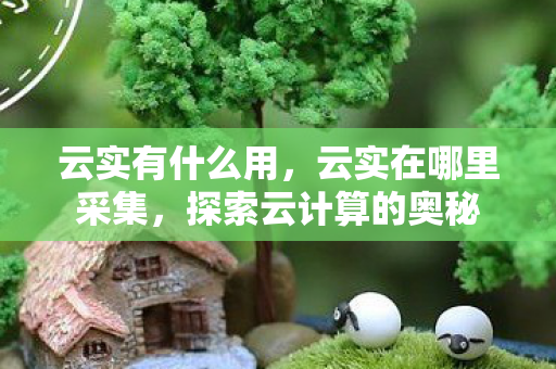 探索云计算的奥秘图片