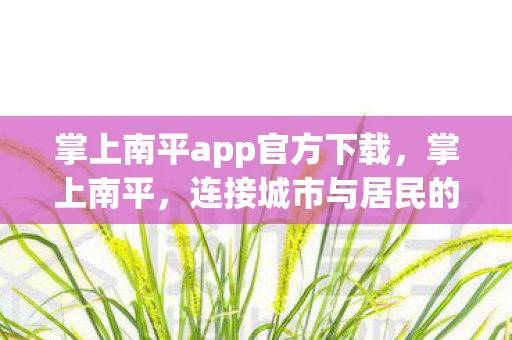 掌上南平app官方下载图片