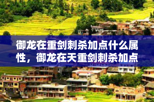 御龙在重剑刺杀加点什么属性图片