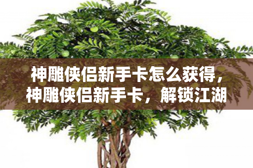 神雕侠侣新手卡怎么获得图片