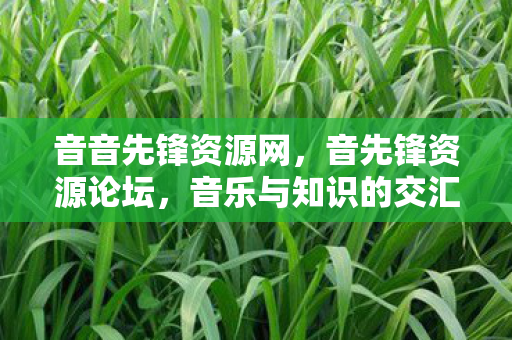 音乐与知识的交汇之地图片