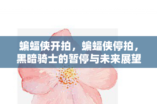 蝙蝠侠开拍，蝙蝠侠停拍，黑暗骑士的暂停与未来展望