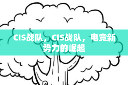 CIS战队，CIS战队，电竞新势力的崛起