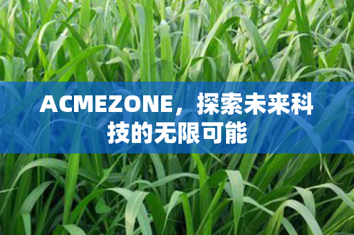ACMEZONE，探索未来科技的无限可能