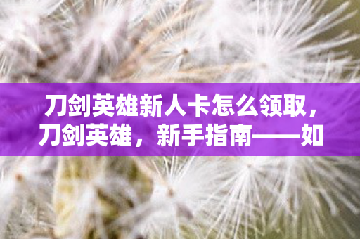 刀剑英雄新人卡怎么领取，刀剑英雄，新手指南——如何玩转新人卡