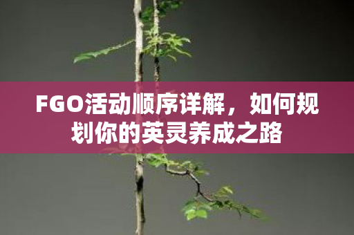 如何规划你的英灵养成之路图片