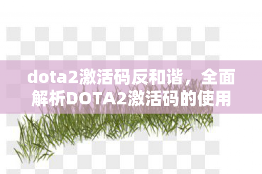 dota2激活码反和谐，全面解析DOTA2激活码的使用方法和注意事项