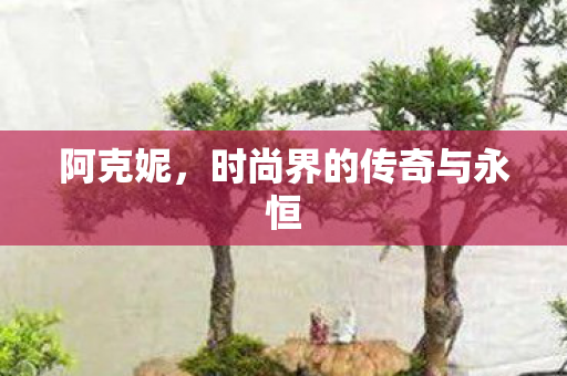 时尚界的传奇与永恒图片