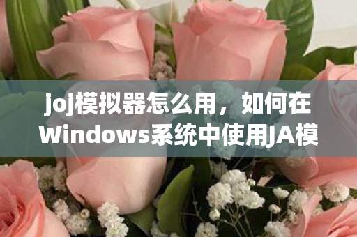 如何在Windows系统中使用JA模拟器图片