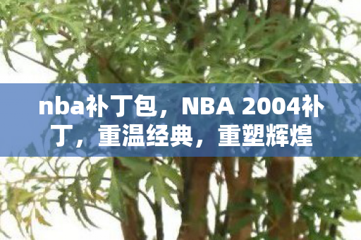 NBA 2004补丁图片