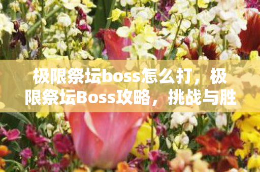 极限祭坛boss怎么打图片