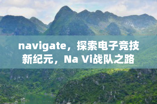navigate，探索电子竞技新纪元，Na Vi战队之路