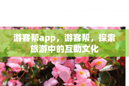 游客帮app，游客帮，探索旅游中的互助文化