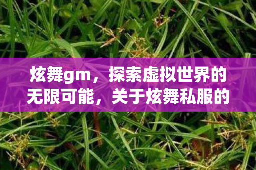 炫舞gm，探索虚拟世界的无限可能，关于炫舞私服的深度解析