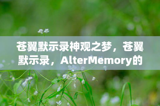 AlterMemory的神秘之旅图片