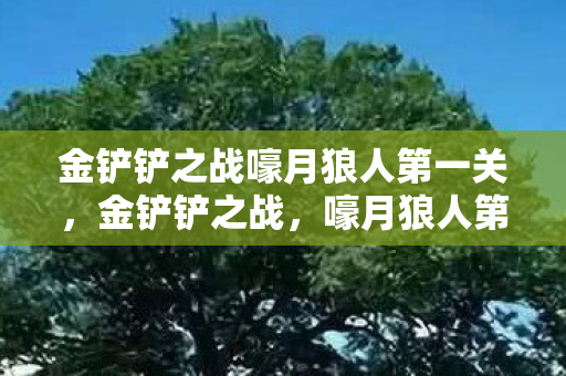 金铲铲之战嚎月狼人第一关图片