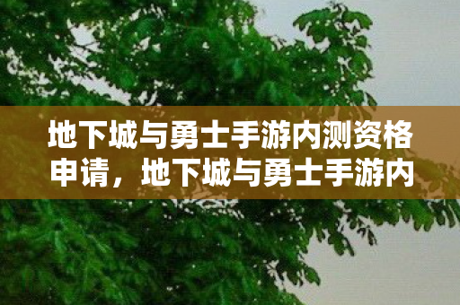 地下城与勇士手游内测资格申请图片