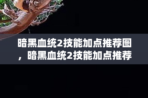 暗黑血统2技能加点推荐图图片