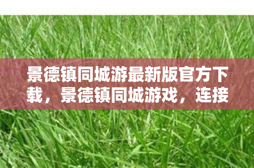 景德镇同城游最新版官方下载图片