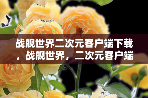 战舰世界二次元客户端下载图片