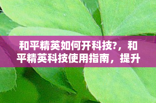 提升游戏体验的合法途径图片