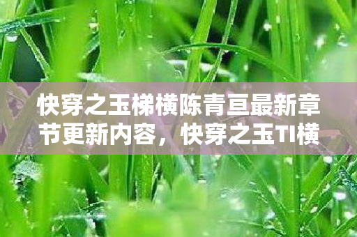 快穿之玉梯横陈青亘最新章节更新内容，快穿之玉TI横陈，一场穿越时空的奇幻之旅