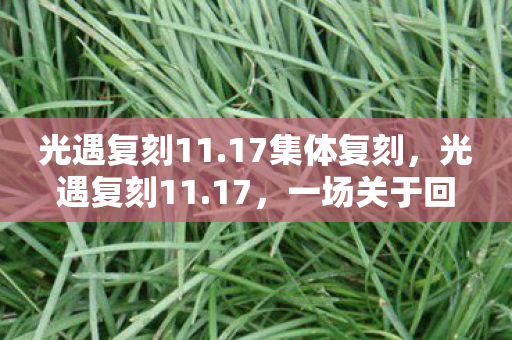 一场关于回忆与探索的旅程图片