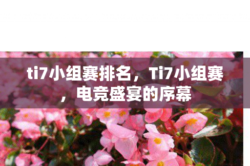 ti7小组赛排名，Ti7小组赛，电竞盛宴的序幕