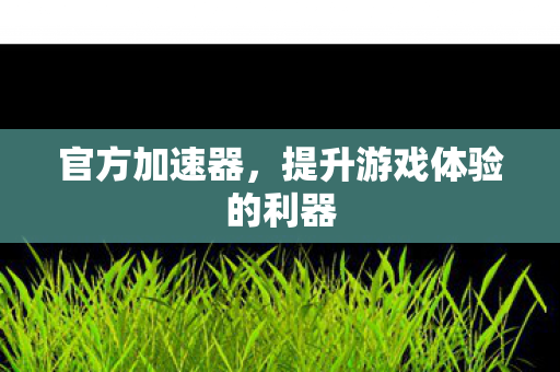 提升游戏体验的利器图片
