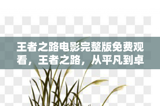 王者之路电影完整版免费观看，王者之路，从平凡到卓越的旅程