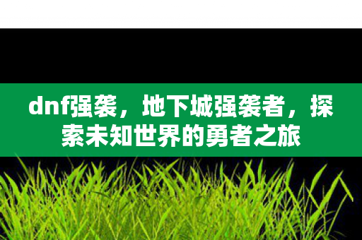 dnf强袭，地下城强袭者，探索未知世界的勇者之旅