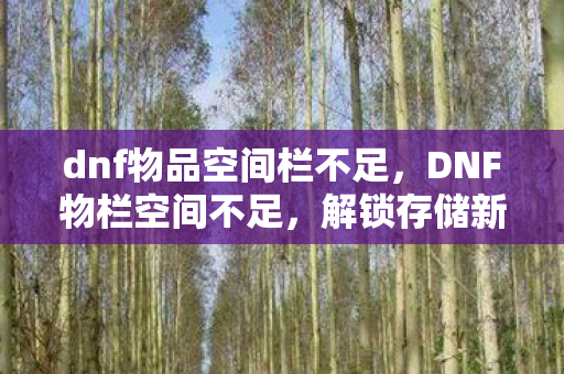 dnf物品空间栏不足，DNF物栏空间不足，解锁存储新境界，打造无限可能！