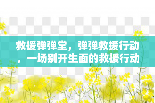 救援弹弹堂，弹弹救援行动，一场别开生面的救援行动