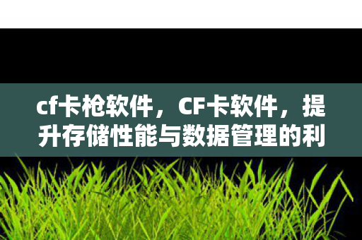 提升存储性能与数据管理的利器图片