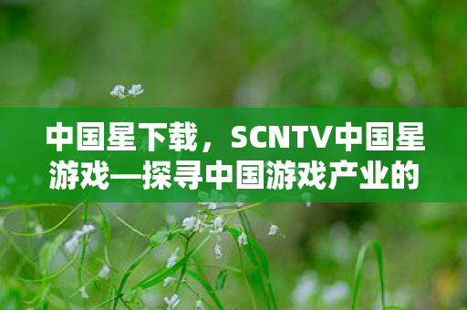 中国星下载，SCNTV中国星游戏—探寻中国游戏产业的璀璨星辰