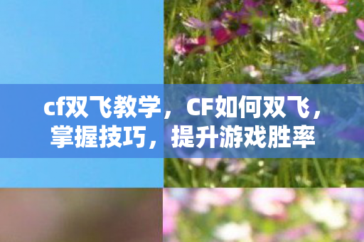 cf双飞教学图片