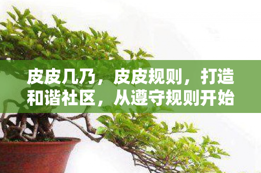 皮皮几乃，皮皮规则，打造和谐社区，从遵守规则开始