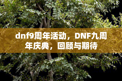 dnf9周年活动图片