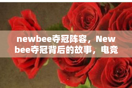 newbee夺冠阵容，Newbee夺冠背后的故事，电竞之路的辉煌时刻