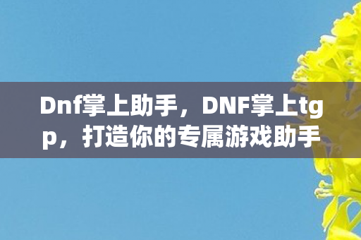 Dnf掌上助手，DNF掌上tgp，打造你的专属游戏助手